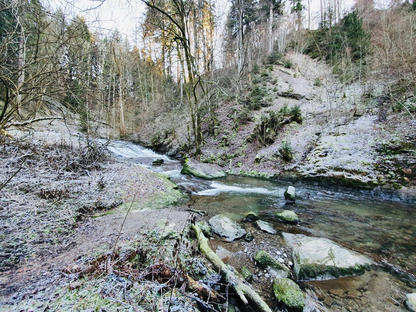 Herbst / Winter Wanderung beim Tobelbach, man sieht den Back ind einer winterlichen mit wenig Schnee bedeckten Landschaft