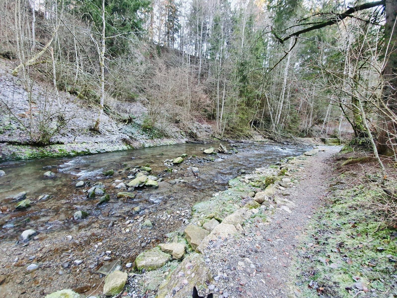 Asublick in den Tobelbach im Winter