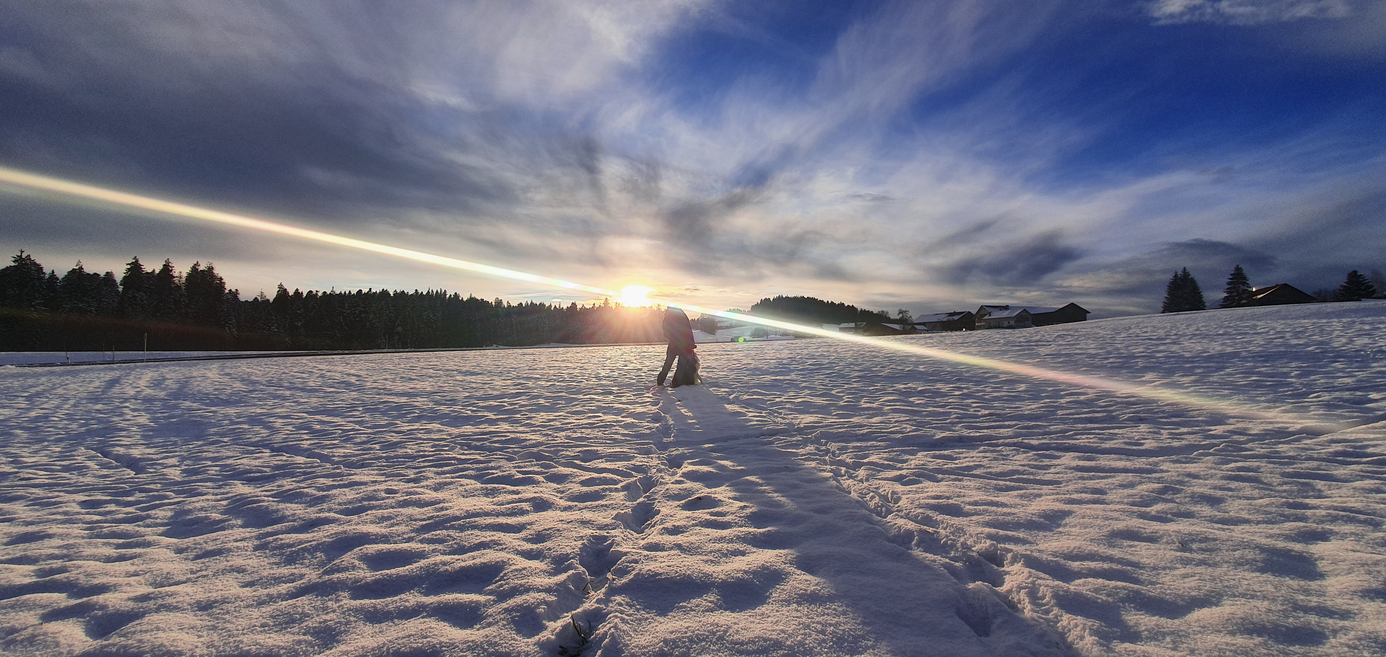 Blick auf eine große schneebedeckte Fläche mit einer Frau und einem Hund bei der Ferienwohnung in Weiler-Simmerberg