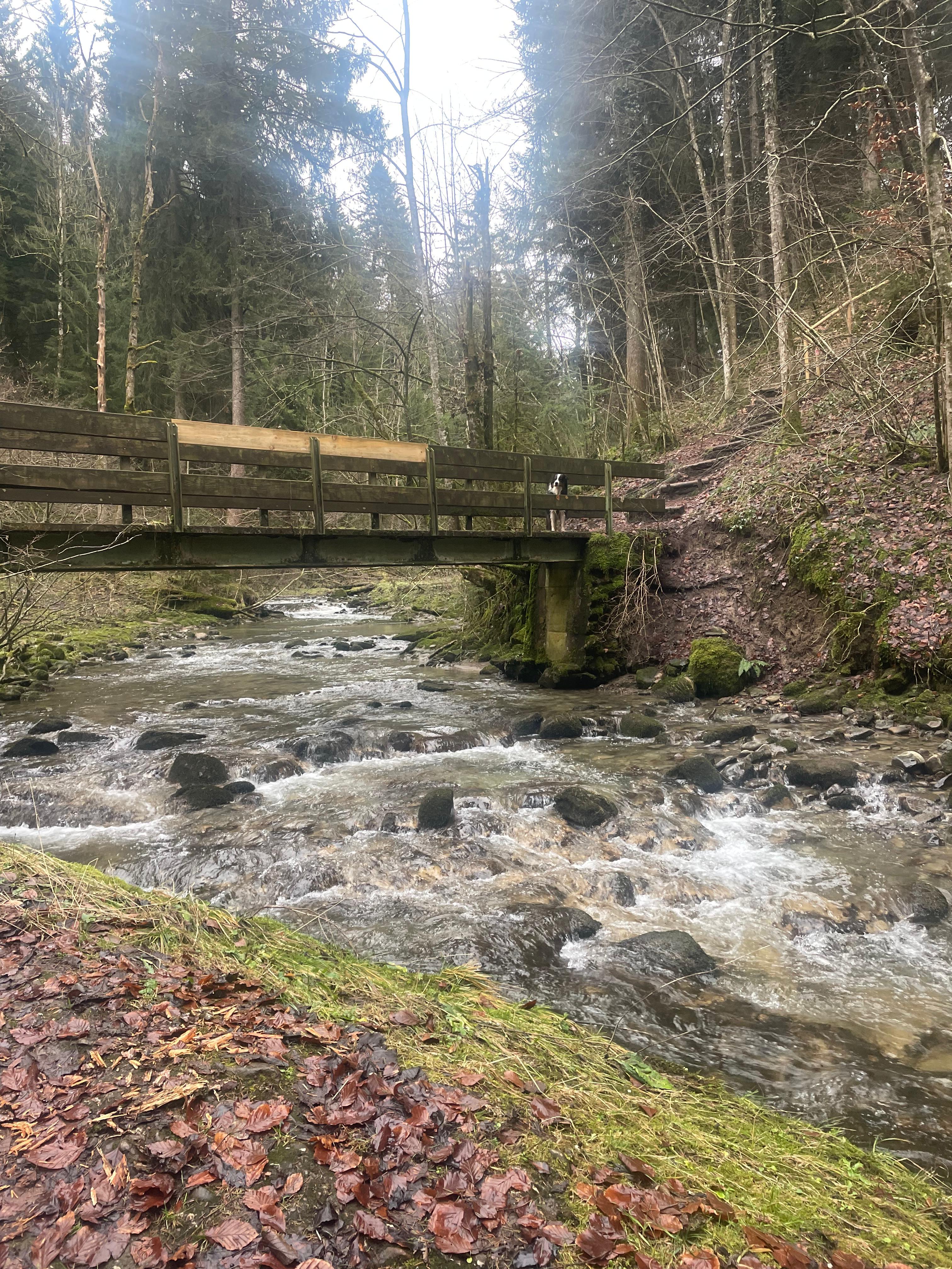 Brücke über den Tobelbach im Herbst