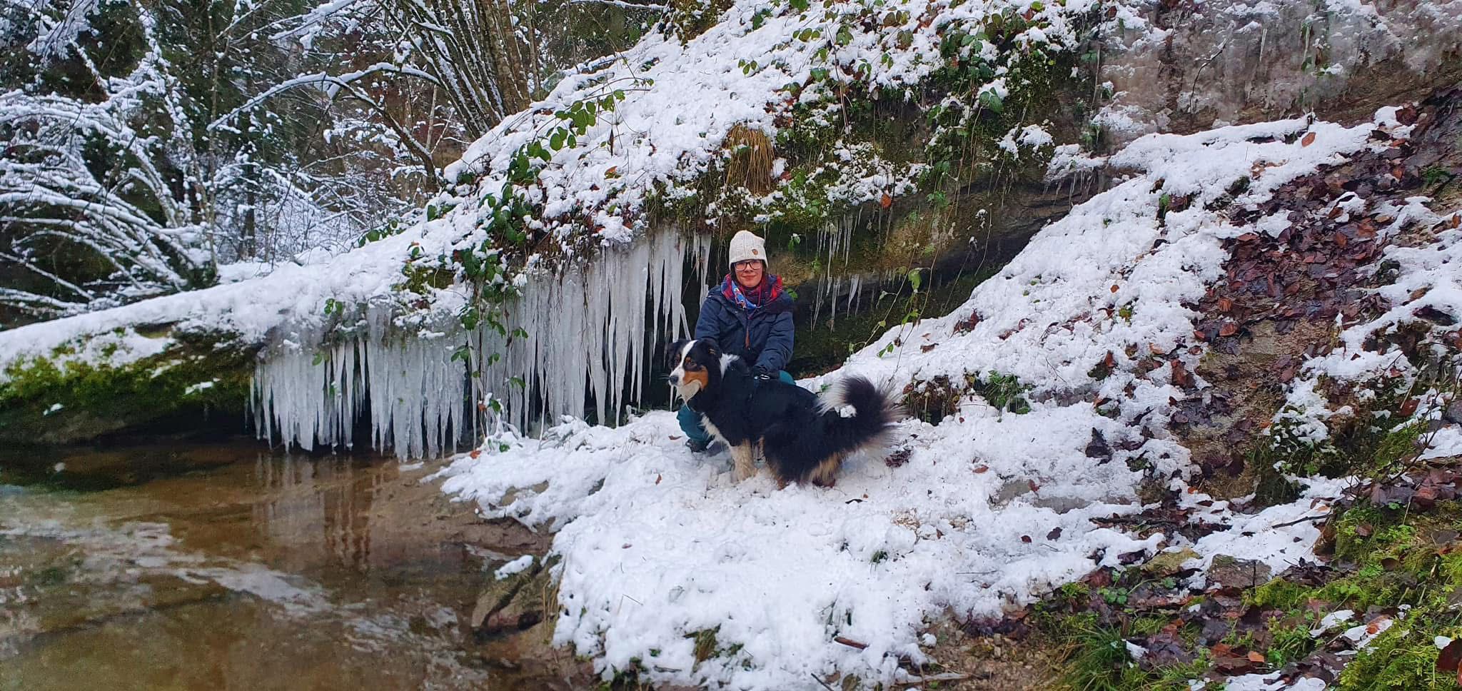 Idylle am Tobelbach mit Hund