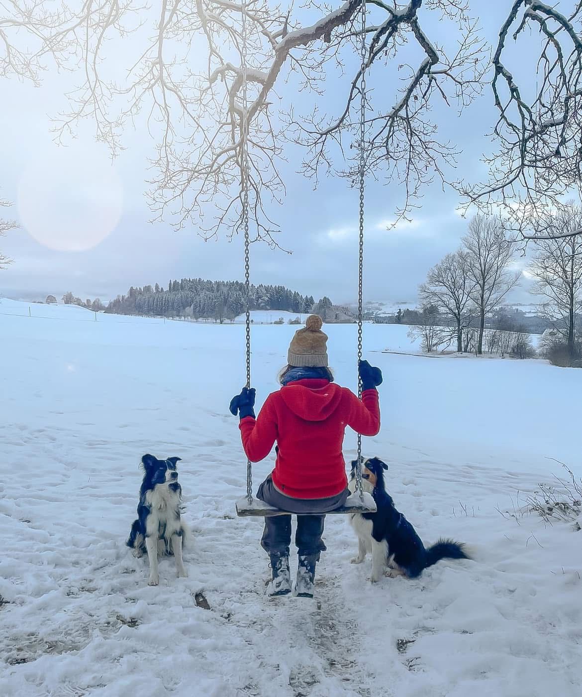 Lustiges Gassi im Schnee im Allgäu